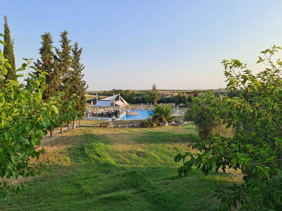 Janis Seaview Villa Néa Fókaia Bagian luar foto